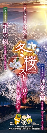 神流川冬桜ストーリー 表